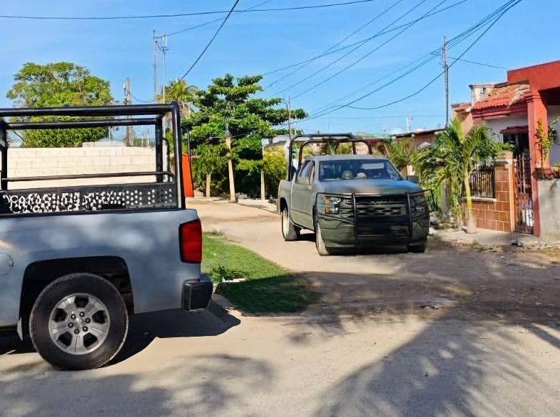 Detienen a la mapacha en flamboyanes